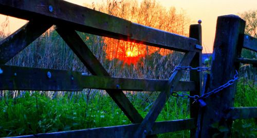 Mending Fences - lisawolfe80