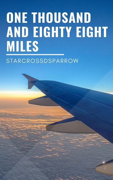 Art: 1088 | Marshmellow Bobcat | Flickr