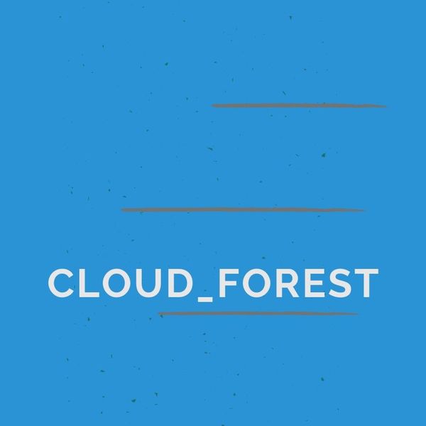 CLOUD_FOREST
