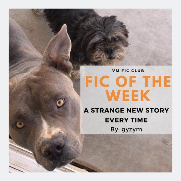A Strange New Story Every Time (vmficclub)