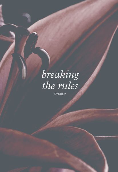 Breaking the Rules Never laugh at live dragons: Image
