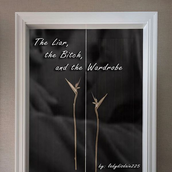 The Liar, the Bitch, and the Wardrobe By: ladydisdain225 Logan and Veronica. And a wardrobe…