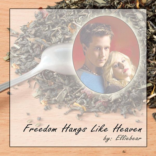 Freedom Hangs Like Heaven By EllieBear Part 5 of the ‘Evening on the Ground’ series Veronica an…