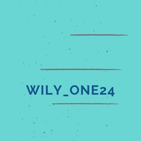 wily_one24