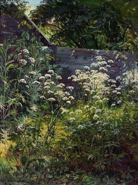 Corner of overgrown garden goutweed grass. 1884. Ivan Shishkin (25 January 1832 – 20 March 1898).