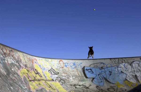 GettyImages-98460593