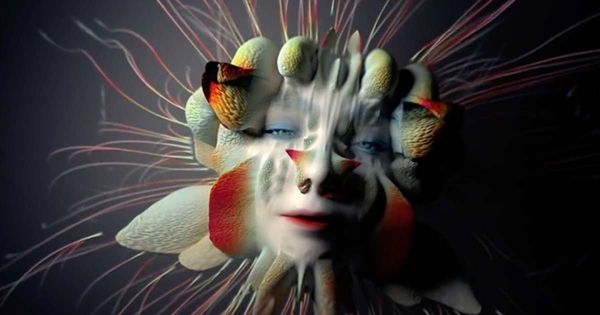 Image result for bjork music video