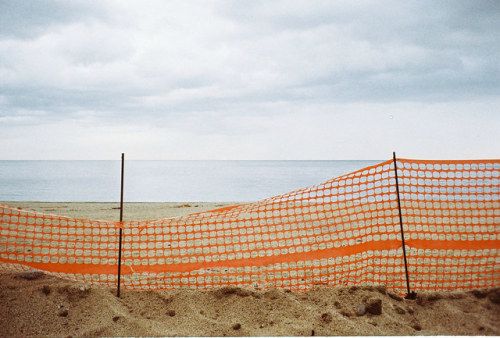 tumblr_pq7zteQcuL1tlkk2vo2_500