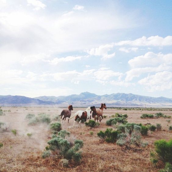 17 Stunning Instagram Accounts to Follow If You Love Travel via @mydomaine