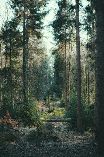 Nature