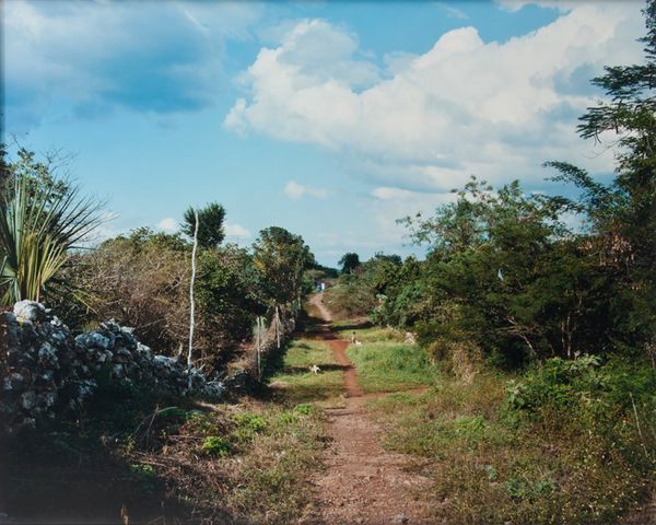 Image result for stephen shore landscape