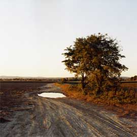 Image result for joel sternfeld landscape