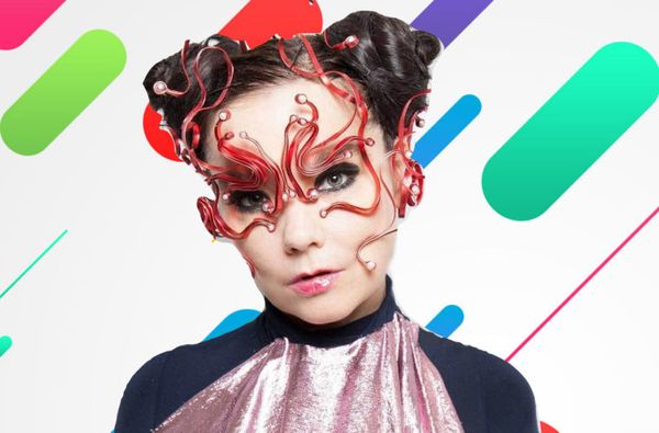 Image result for bjork