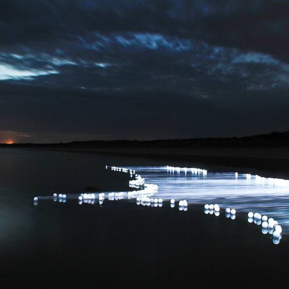 James Tapscott - Flow Project