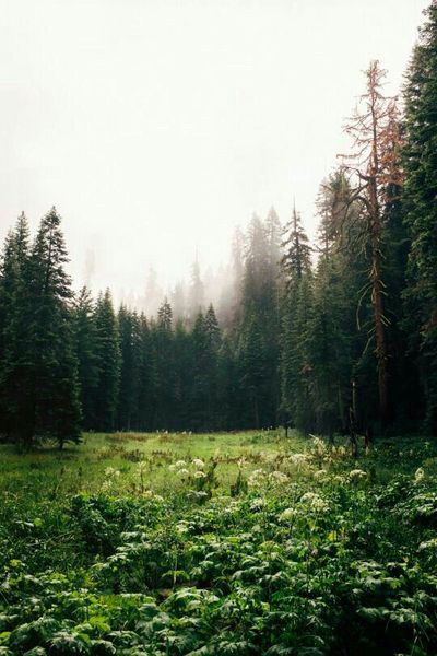 {Pinterest// Sadie Joyce}