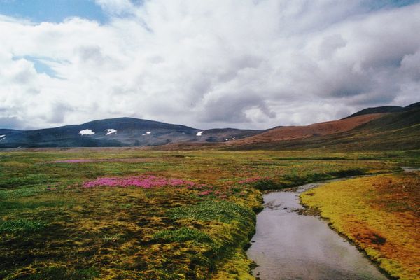 Island---25_1000