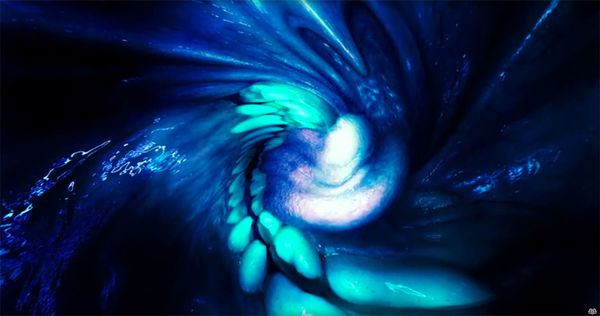 Image result for jesse kanda