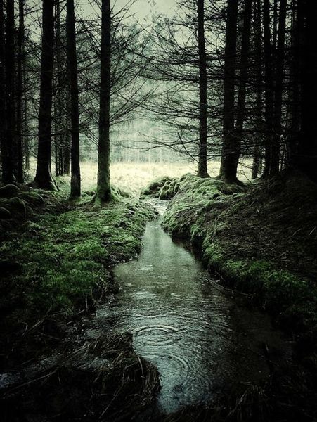 Julian Calverley Photography – Fubiz™