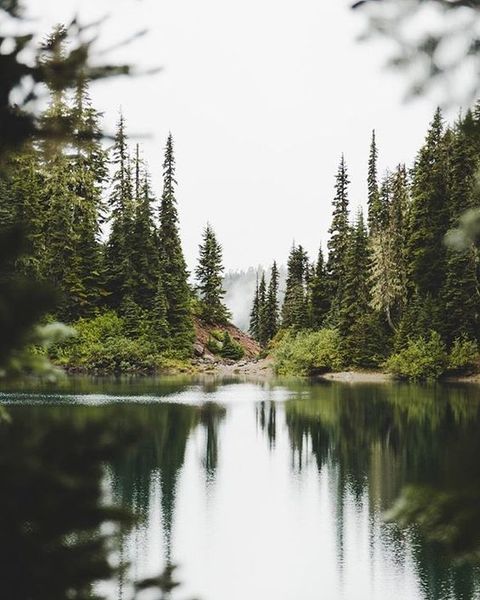 ... #Photos #Photography #Nature