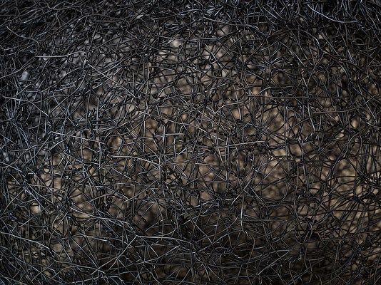 Image 22 of 58