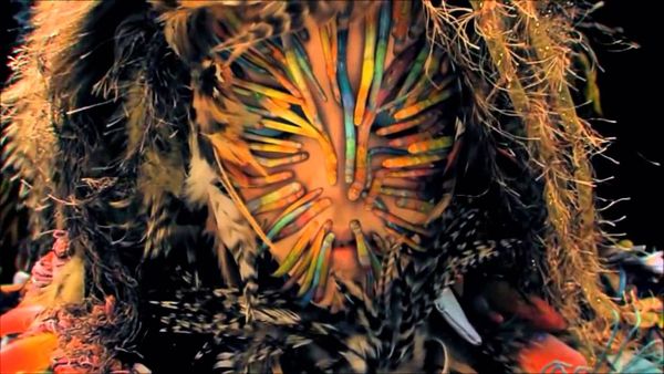 Image result for bjork music video