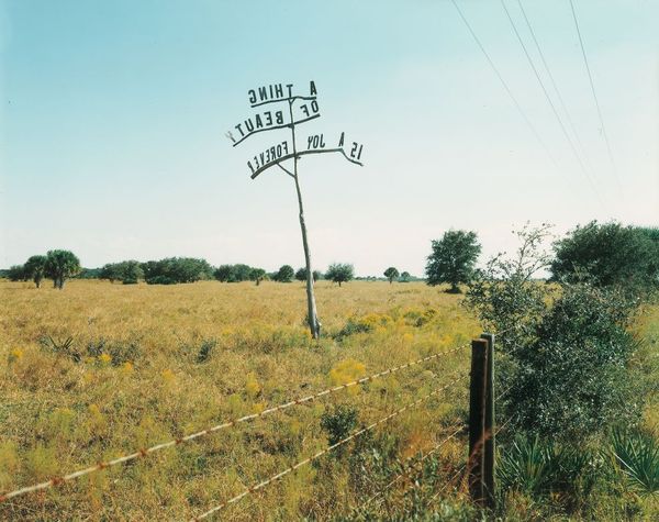 Image result for stephen shore landscape