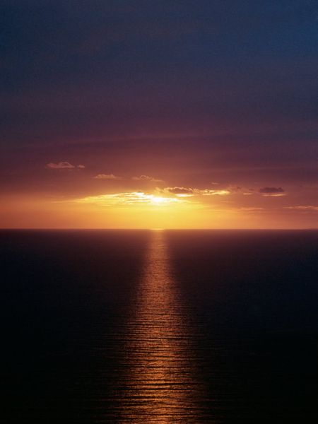 77c5c23e-0974-4664-a2a9-a15c2ec69a2e_SUNSETGARDEN-28