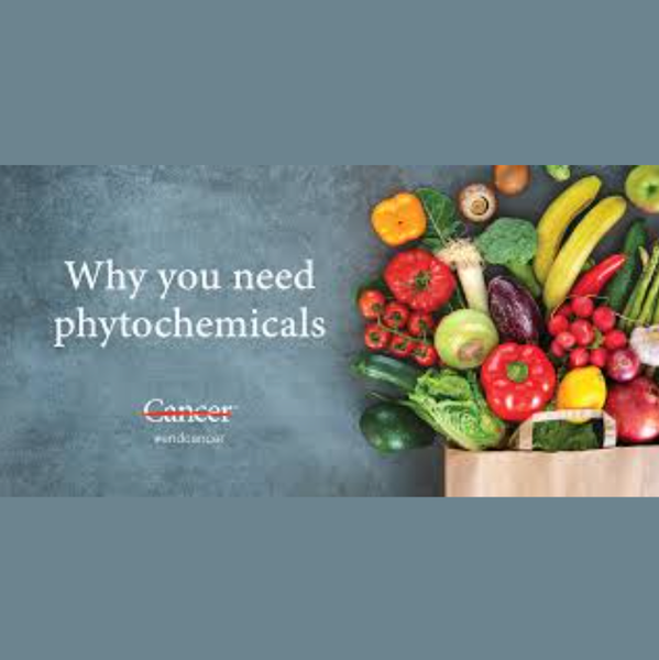 Dr. Smokey Santillo - Disease Fighting Chemicals