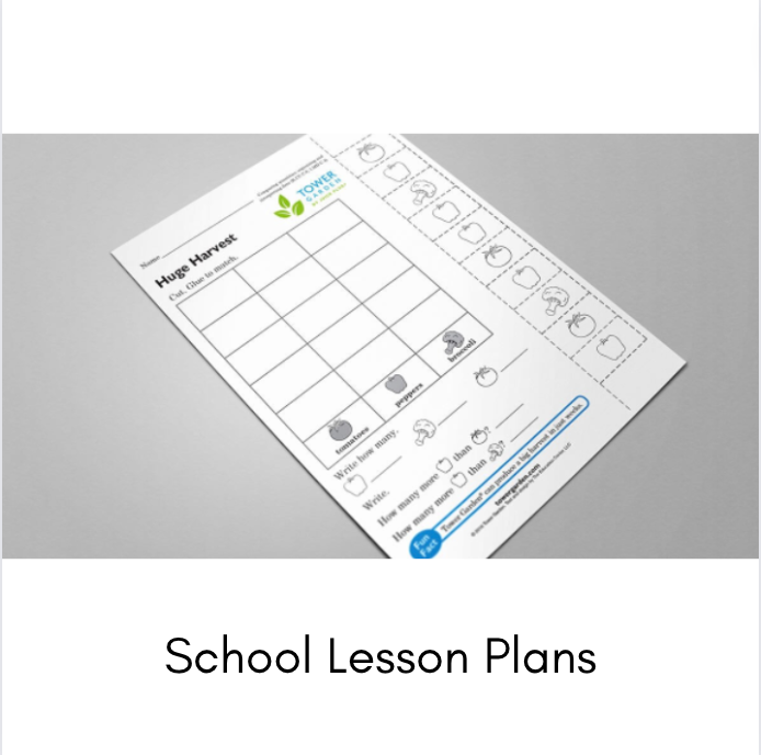 School Lesson Plans
