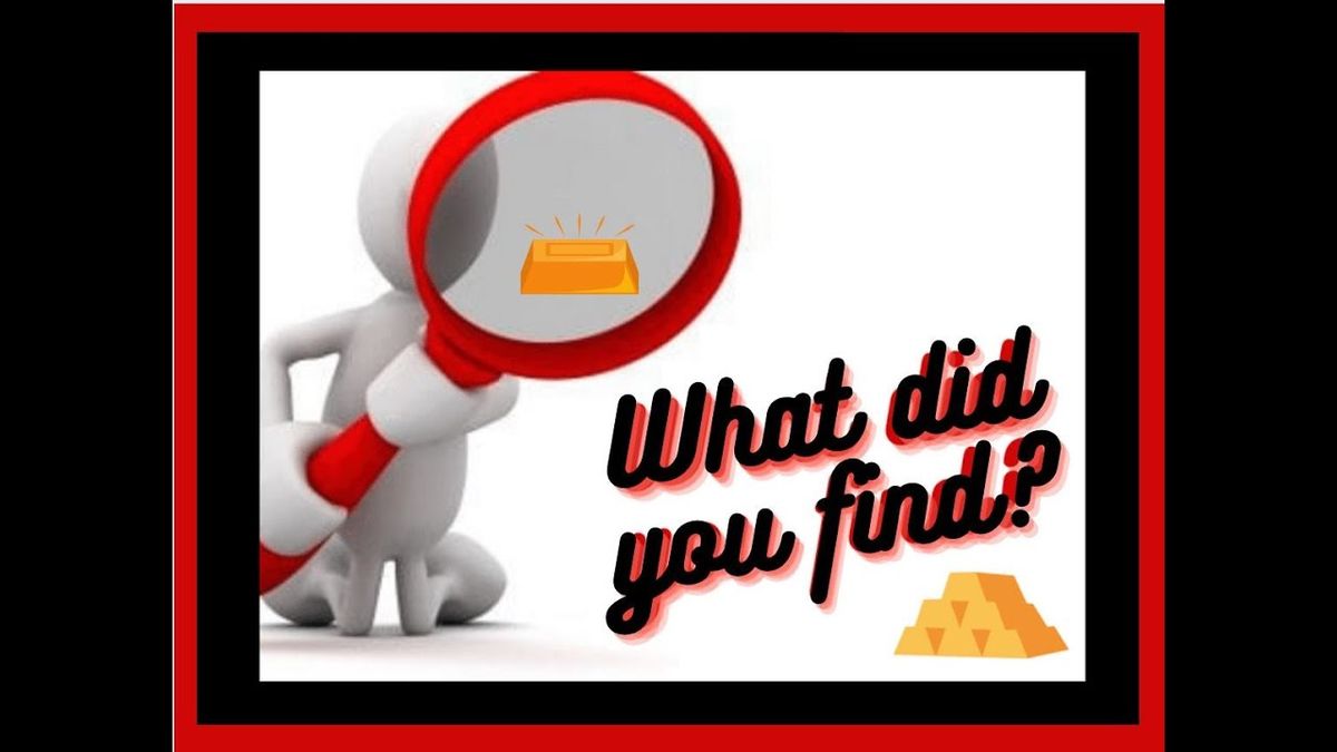What Did You Find?