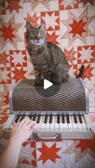 Carol Cleveland Sings on Instagram: "God only knows what we’d be without your music 💔

Rest in…