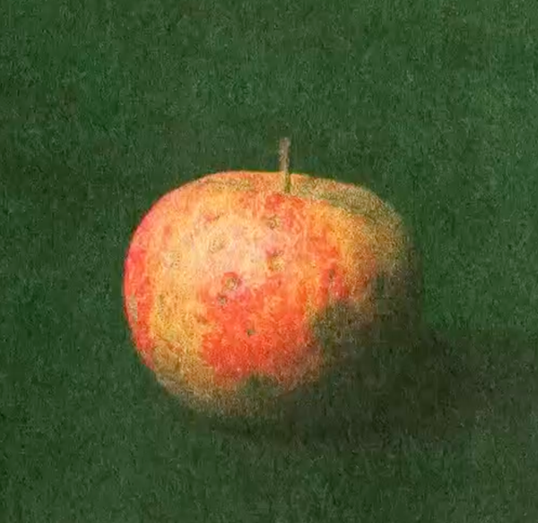 instagram.com/francisbroek/