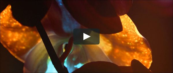 SCINTILLATION on Vimeo