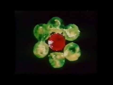 Harry Smith: Early Abstractions 1946-57 - YouTube