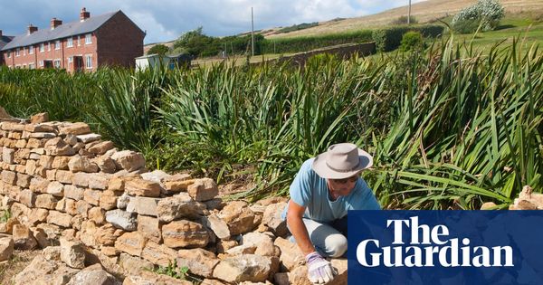 Craftland by James Fox review – on the trail of Britain’s vanishing skills | Books | The Guardi…