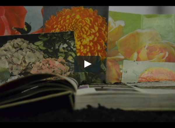 Page to Screen- Gardening in Colour on Vimeo