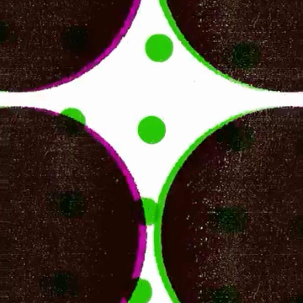 instagram.com/burrill.plowman.goldie/