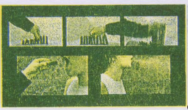 instagram.com/reel/C3X5_bNNioC/?utm_source=ig_web_copy_link&igsh=MzRlODBiNWFlZA==