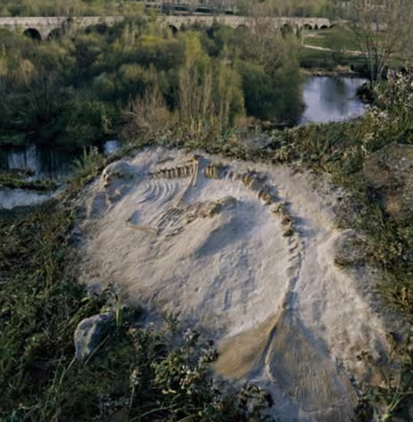 Joan Fontcuberta: false negatives | Photography | The Guardian
