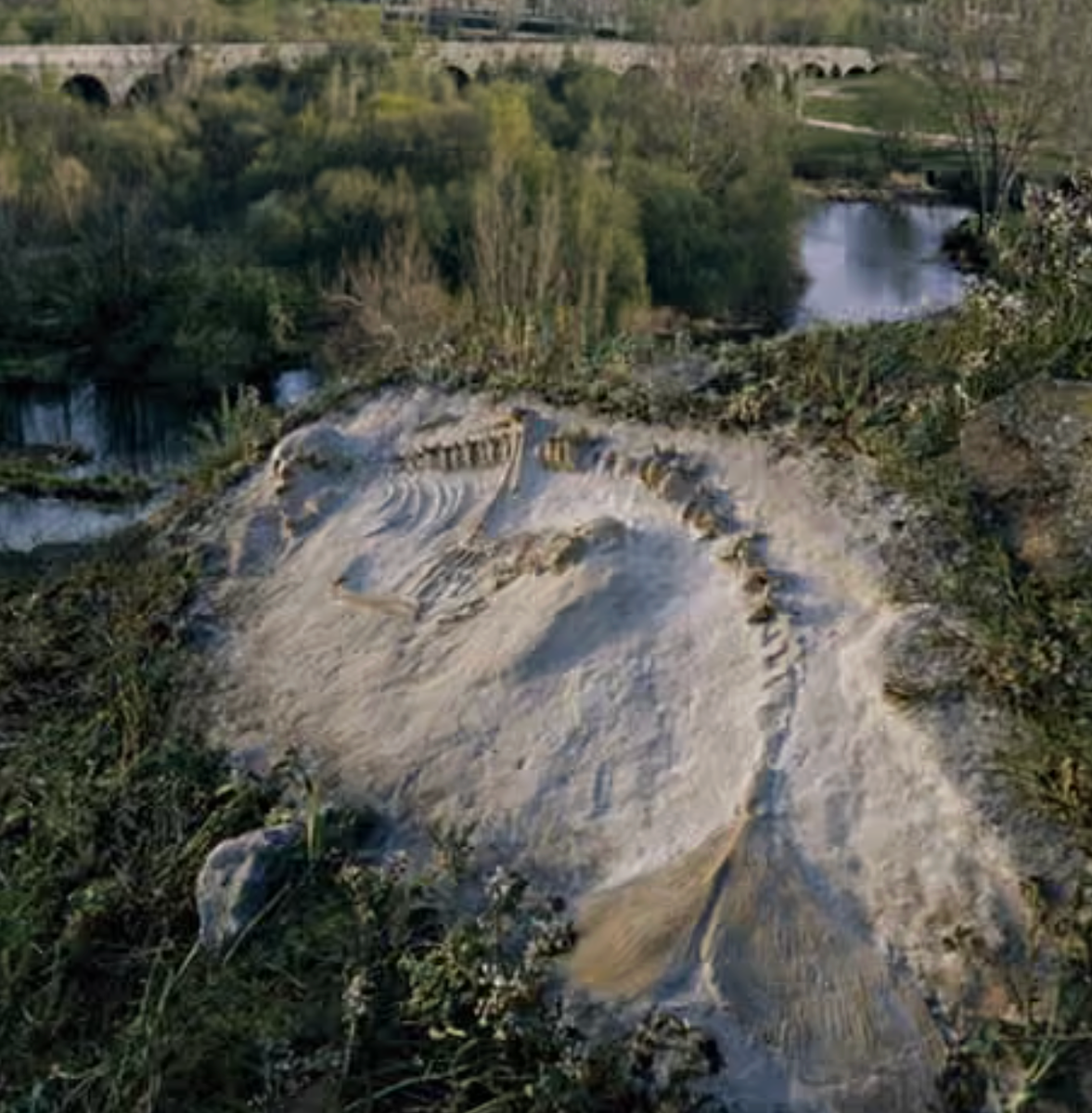Joan Fontcuberta: false negatives | Photography | The Guardian
