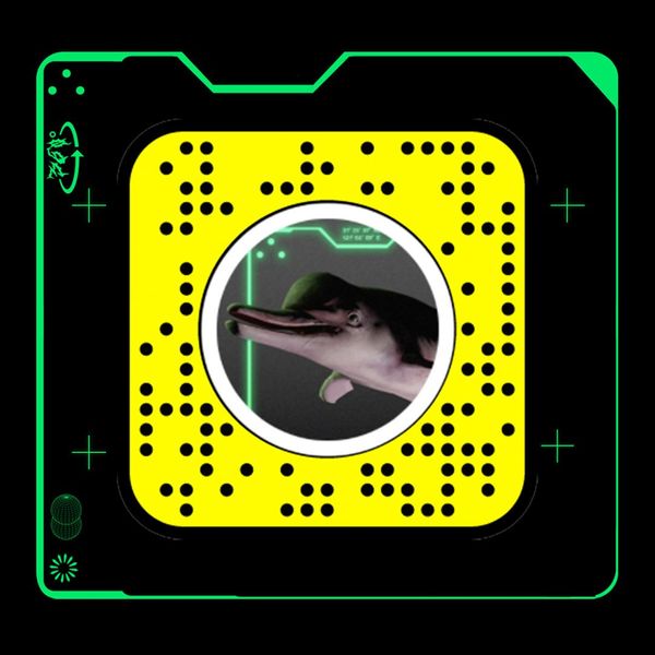 The Zoo of Extinct Animals is an AR experience allowing viewers to interact with extinct wildlife