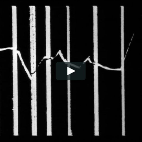 Early Motion Pioneers