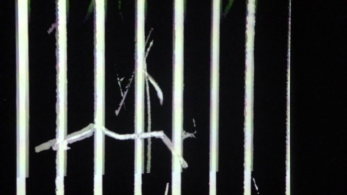 Len Lye - Exact from Free Radicals - YouTube