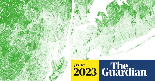 New York will plant thousands of trees using new tech to maximize foliage impact