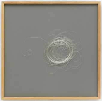 CORNELIA PARKER