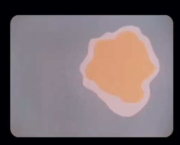 instagram.com/reel/DE1u2amsUjy/?utm_source=ig_web_copy_link&igsh=MzRlODBiNWFlZA==