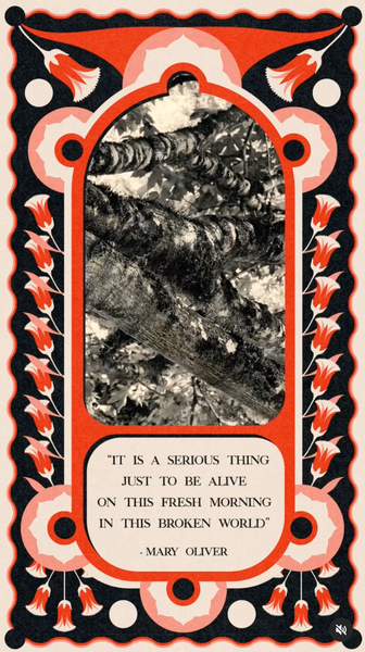 instagram.com/sightstudy/