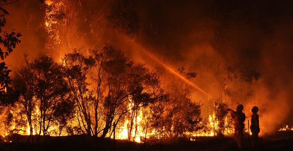 Scientists warn of a ‘clear and unequivocal’ climate emergency | Natural History Museum