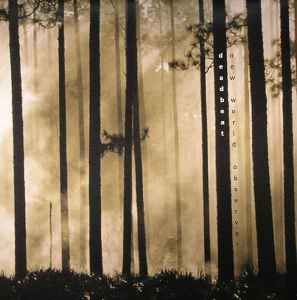 Deadbeat - New World Observer: 2xLP, Album For Sale | Discogs