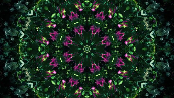 ◆ Barac - Marcu Rares - KiRiK - Alineat ◆ |Alex Ciociu Mix|